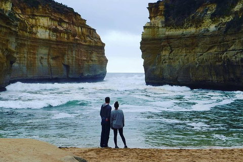Great Ocean Road Small-Group Ecotour From Melbourne - Accommodation Port Macquarie 1