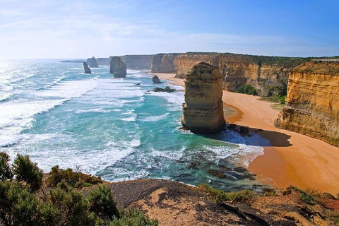 Great Ocean Road Small-Group Ecotour From Melbourne - Accommodation Port Macquarie 2