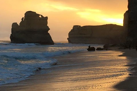 Great Ocean Road Small-Group Ecotour From Melbourne - Accommodation Port Macquarie 5