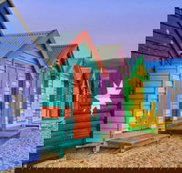 Phillip Island Penguin Brighton Beach Moonlit Sanctuary from Melbourne - Accommodation Port Macquarie