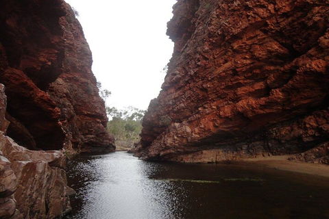 West MacDonnell Ranges Half - Day Tour - Accommodation Port Macquarie 4