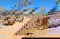 West MacDonnell Ranges Half-Day Small-Group Tour with Camel Ride, Alice Springs