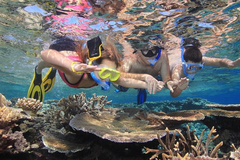Calypso Outer Great Barrier Reef Cruise From Port Douglas - Accommodation Port Macquarie 3