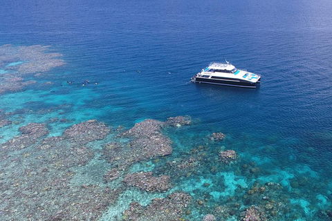 Calypso Outer Great Barrier Reef Cruise From Port Douglas - Accommodation Port Macquarie 4