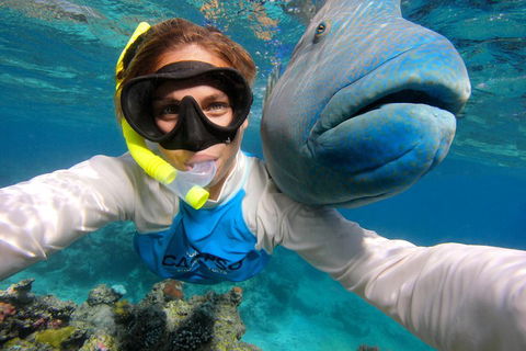 Calypso Outer Great Barrier Reef Cruise From Port Douglas - Accommodation Port Macquarie 5