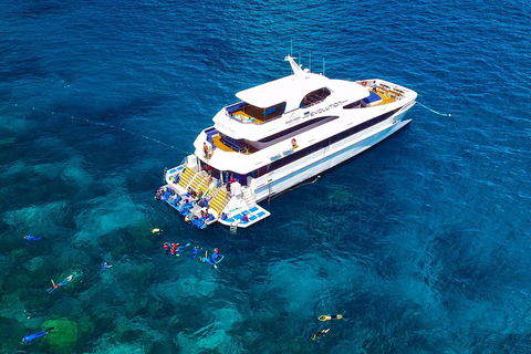 Great Barrier Reef Snorkeling And Diving Cruise From Cairns - Accommodation Port Macquarie 5