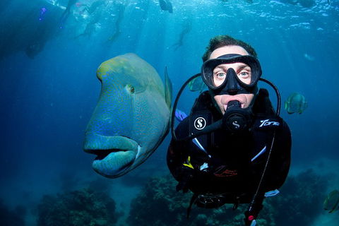 Full Day Reef Cruise Including 10 Minute Heli Scenic Flight: Get High Package - Accommodation Port Macquarie 1
