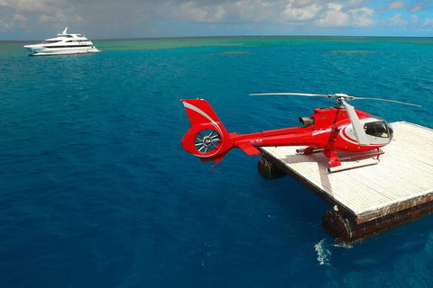 Full Day Reef Cruise Including 10 Minute Heli Scenic Flight: Get High Package - Accommodation Port Macquarie 3