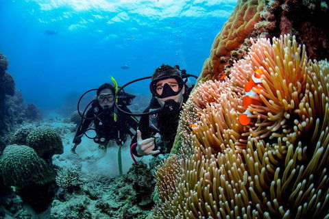 Full Day Reef Cruise Including 10 Minute Heli Scenic Flight: Get High Package - Accommodation Port Macquarie 5