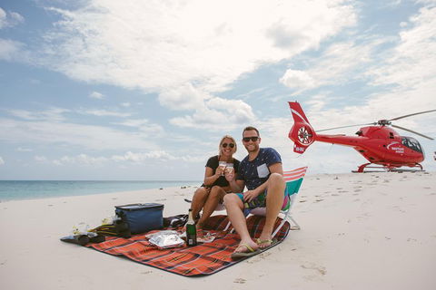 Private Helicopter Tour: Reef Island Snorkeling And Gourmet Picnic Lunch - Accommodation Port Macquarie 1