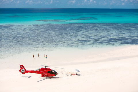 Private Helicopter Tour: Reef Island Snorkeling And Gourmet Picnic Lunch - Accommodation Port Macquarie 2
