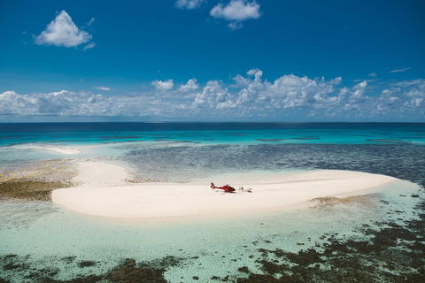 Private Helicopter Tour: Reef Island Snorkeling And Gourmet Picnic Lunch - Accommodation Port Macquarie 4