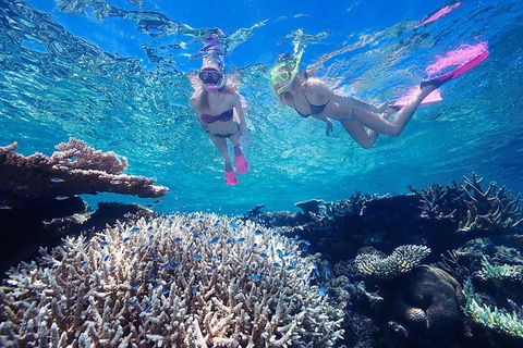 Great Barrier Reef Scenic Helicopter Tour And Cruise From Cairns - Accommodation Port Macquarie 3