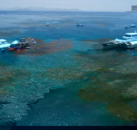 Cruise to Moore Reef Pontoon and Return Helicopter Flight from Cairns - Accommodation Port Macquarie