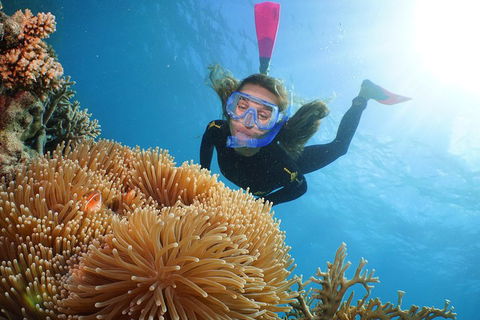 Helicopter And Cruise Packages From Port Douglas - Accommodation Port Macquarie 3