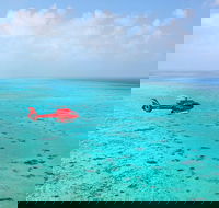 Port Douglas Scenic Flights - Accommodation Port Macquarie