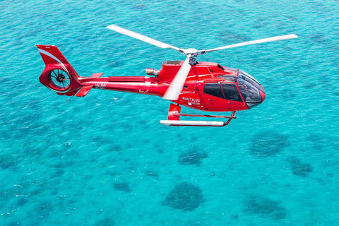 Port Douglas Scenic Flights - Accommodation Port Macquarie 2