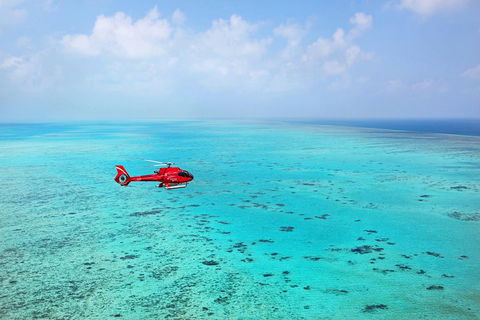 Port Douglas - Cruise And 10 Minute Scenic Flight - Accommodation Port Macquarie 1