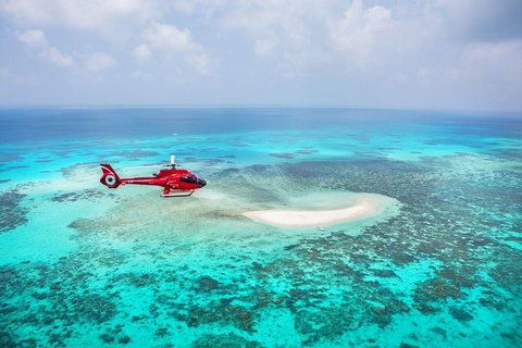 Great Barrier Reef 30-Minute Scenic Helicopter Tour From Cairns - Accommodation Port Macquarie 0