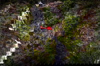 Ultimate Great Barrier Reef and Rainforest 45-minute Helicopter Tour, Cairns