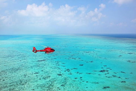 Ultimate Great Barrier Reef And Rainforest 45-minute Helicopter Tour - Accommodation Port Macquarie 2