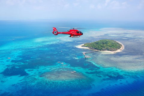 Ultimate Great Barrier Reef And Rainforest 45-minute Helicopter Tour - Accommodation Port Macquarie 4