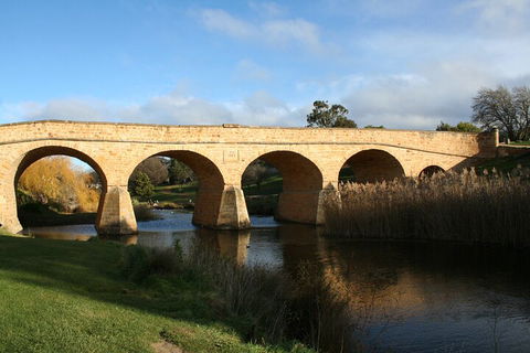 Mt. Wellington, Bonorong And Richmond Day Tour From Hobart - Accommodation Port Macquarie 4