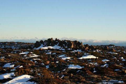 Mt. Wellington, Bonorong And Richmond Day Tour From Hobart - Accommodation Port Macquarie 5
