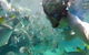 2-Day Moreton Island 4WD Camping Tour From Brisbane - thumb 0