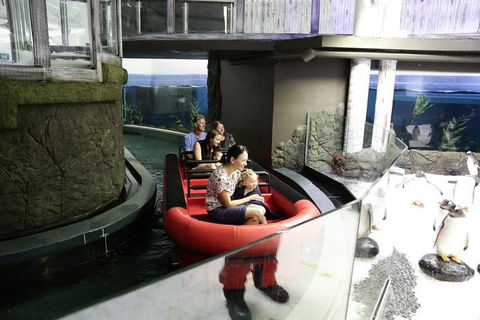 Sydney Attractions Pass: SEA LIFE Aquarium, Sydney Tower Eye, WILD LIFE Zoo And Madame Tussauds - Accommodation Port Macquarie 0