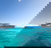 Fremantle to Rottnest Island Roundtrip Ferry Ticket - Accommodation Port Macquarie