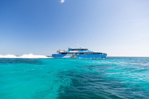 Fremantle To Rottnest Island Roundtrip Ferry Ticket - Accommodation Port Macquarie 0