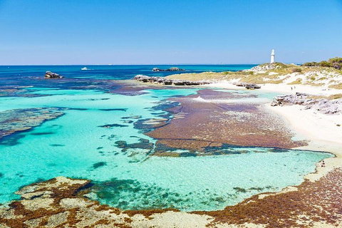 Fremantle To Rottnest Island Roundtrip Ferry Ticket - Accommodation Port Macquarie 2