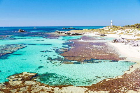 Rottnest Island All-Inclusive Grand Island Tour From Fremantle - Accommodation Port Macquarie 1