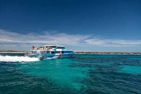 Rottnest Island Bike & Ferry Package From Fremantle - Accommodation Port Macquarie 4