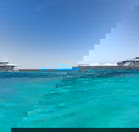 Rottnest Island Fortress Adventure Segway Package from Fremantle - Accommodation Port Macquarie