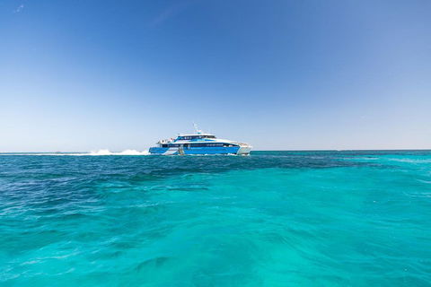 Rottnest Island Fortress Adventure Segway Package From Fremantle - Accommodation Port Macquarie 0