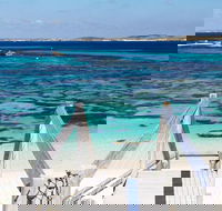 Perth to Rottnest Island Roundtrip Ferry Ticket - Accommodation Port Macquarie
