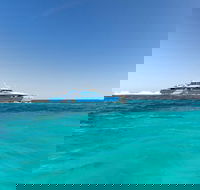 Rottnest Island Bayseeker Day Trip from Perth - Accommodation Port Macquarie
