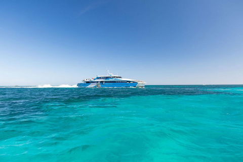 Rottnest Island Bayseeker Day Trip From Perth - Accommodation Port Macquarie 0