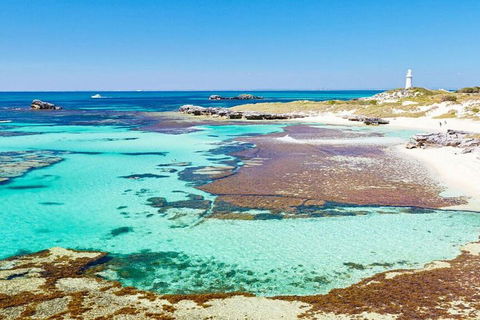 Rottnest Island Bayseeker Day Trip From Perth - Accommodation Port Macquarie 4