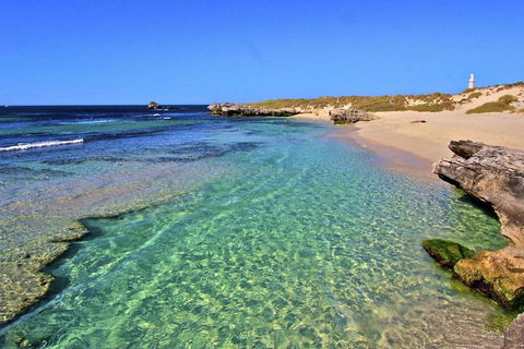 Rottnest Island Bayseeker Day Trip From Perth - Accommodation Port Macquarie 5