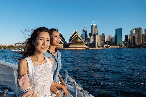 Sydney Whale-Watching Cruise - Accommodation Port Macquarie 4
