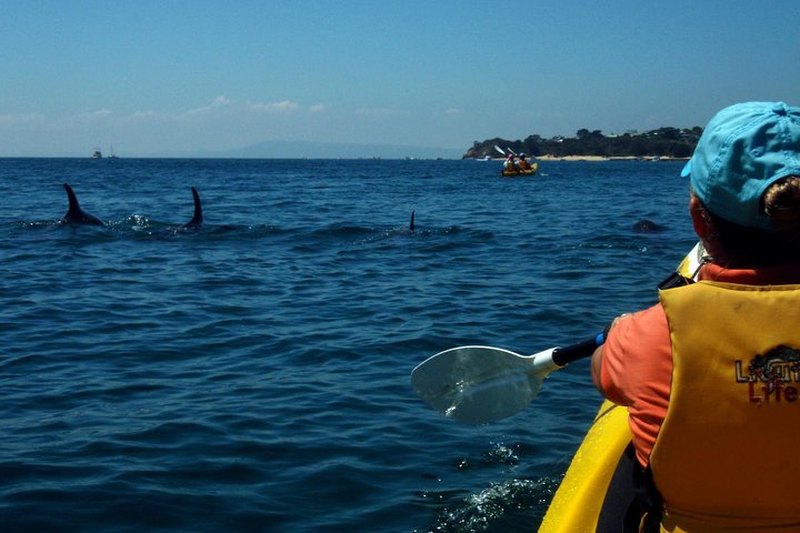  Accommodation Port Macquarie