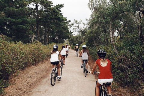 Self-Guided Point Nepean National Park Bike Hire - Accommodation Port Macquarie 3