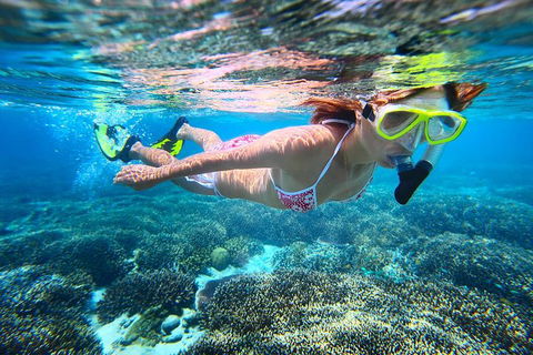 Abrolhos Islands Scenic Flight & Snorkel Adventure From Perth - Accommodation Port Macquarie 1