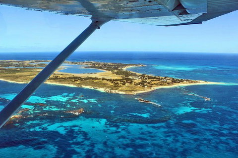 Wave Rock & Rottnest Island - Air & Ground Tour - Accommodation Port Macquarie 1