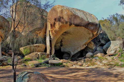 Wave Rock & Rottnest Island - Air & Ground Tour - Accommodation Port Macquarie 4