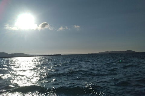Townsville Small Group Early Morning Sailing Cruise Boat Tour Charter Hire - Accommodation Port Macquarie 4
