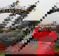 Full-Day Sports and Beer Tour of Melbourne with Lunch - Accommodation Port Macquarie